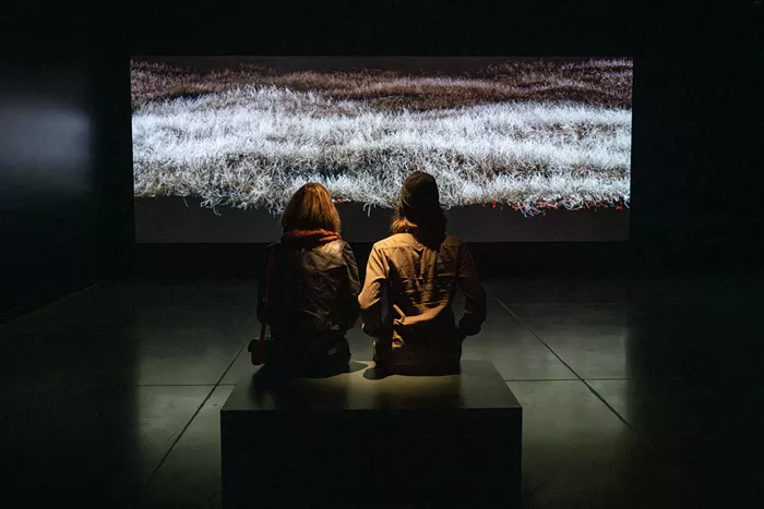 Stranger Suggests: Fantasy A Gets a Mattress Screening and Fundraiser, As We Imagined, 2025 HUMP! Part One, Rachel Hope Cleves